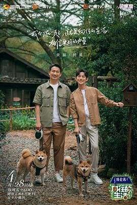 杨凌网站推广